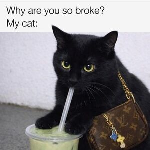 Meet your Posher, Natalie